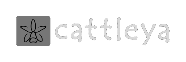 Cattleya